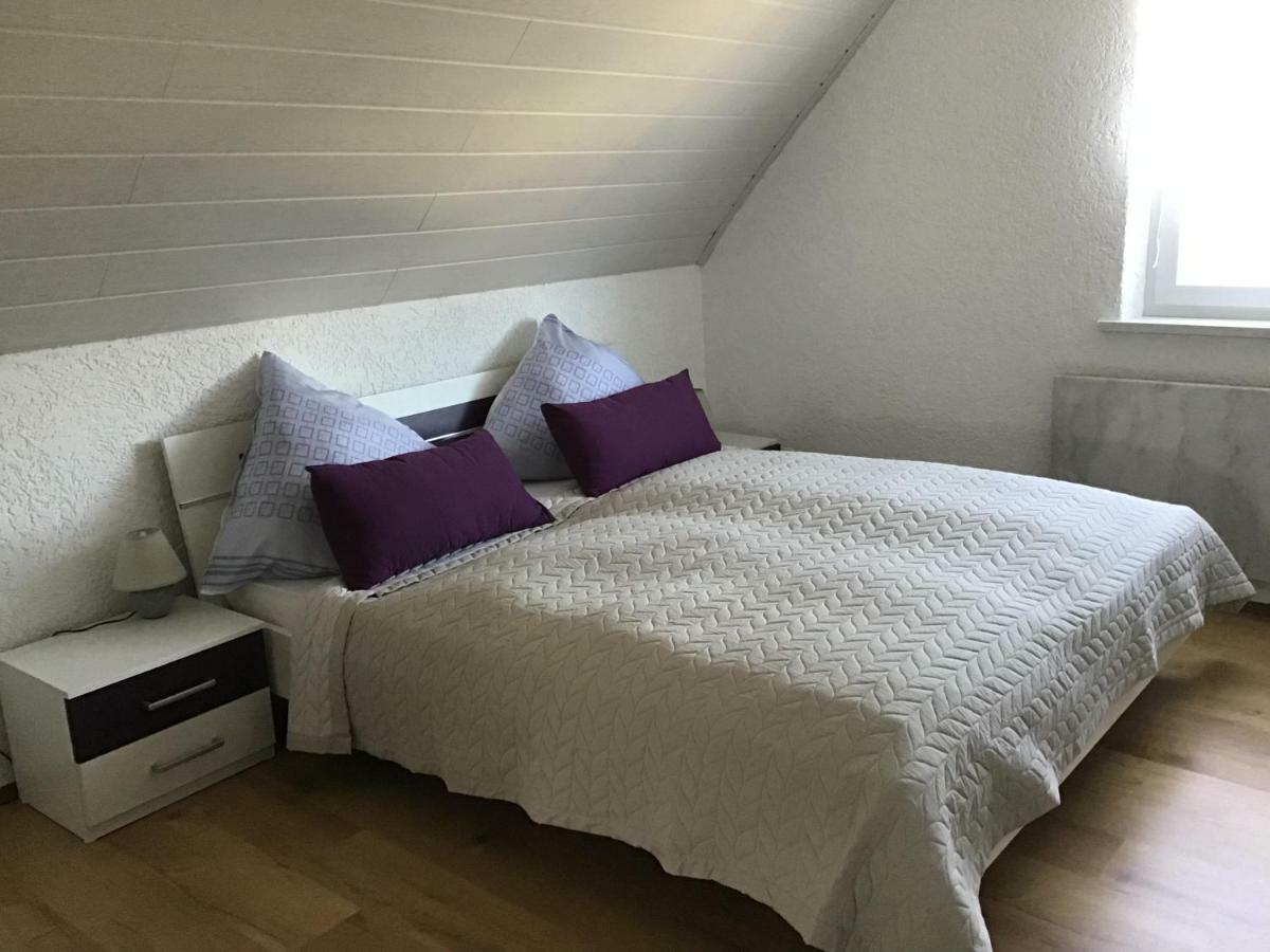 Ferienwohnung Elina Maxhutte-Haidhof Экстерьер фото